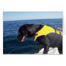Buscar tucker Perro