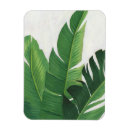 Buscar planta imanes Verde
