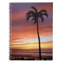 Buscar maui cuadernos Palmera