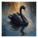 Buscar cisne negro posters General y unisex