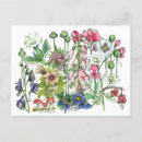 Buscar plantas postales General y unisex