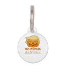 Buscar funny placas para mascotas Calabaza de halloween