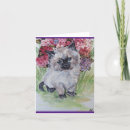 Buscar ragdoll tarjetas Gatitos