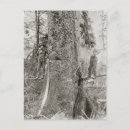 Buscar leñadores postales Bosque