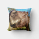 Buscar cara del caballo cojines Caballos