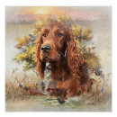 Buscar setter posters Perro de caza