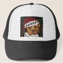 Buscar american staffordshire terrier gorras Navidad