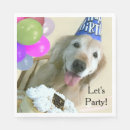 Buscar golden retriever servilletas Lindo