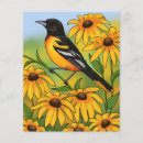 Buscar pájaro negro manualidades Vida silvestre