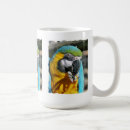 Buscar macaws tazas Machacar