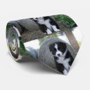 Buscar borde corbatas Collie