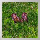 Buscar pencil drawing arte Para ella