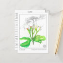 Buscar herbal postales Para todos