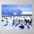 Buscar pete posters Azul