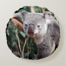 Buscar osos de koala cojines Animal