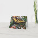 Buscar oriente tarjetas Para todos