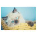 Buscar siamese cat arte Kitten