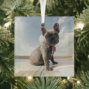 Buscar french adornos Dog