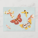 Buscar insectos tarjetas e invitaciones Libélulas