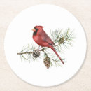 Buscar rama del pino posavasos Acuarela