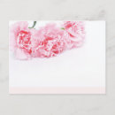 Buscar claveles postales Flores