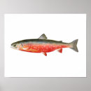 Buscar pesca de arte Trucha