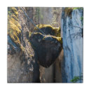 Buscar albert azulejos Canadá