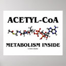 Buscar coa posters Bioquímica