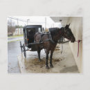 Buscar buggy postales Lancaster