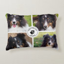 Buscar perro trineo cojines Simple