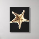 Buscar mar lienzos Sealife