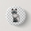 Buscar cute cat chapas Gato