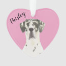 Buscar arlequin adornos Navidades