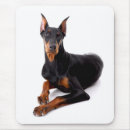 Buscar pinscher alfombrillas de raton Cachorro