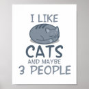 Buscar gato curioso posters Gatito