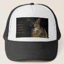 Buscar meme accesorios Gatito