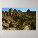 Buscar oasis del desierto posters General y unisex
