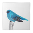 Buscar pájaros azules azulejos Vintage