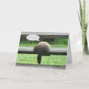 Buscar groundhogs Animales