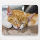 Buscar cute alfombrillas de raton Gato