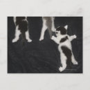 Buscar incertidumbre postales Horizontal