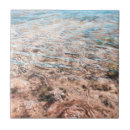 Buscar mares azulejos Olas