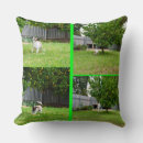 Buscar fox terrier cojines Para todos