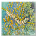 Buscar mariposas artísticas posters Naturaleza