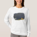 Buscar st ignatius camisetas Reserva salish kootenai