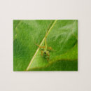 Buscar hoja verde puzzles Naturaleza