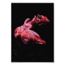 Buscar pájaro abstracto posters Pájaros