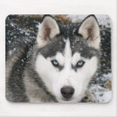 Buscar siberian alfombrillas de raton Husky