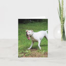 Buscar boxeador tarjetas Blanco