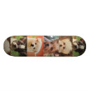 Buscar perro lindo tablas de skate Monopatín
